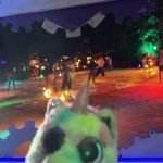 DJ BZARR - Bartosz Zarucki - Bali Fire Dance Retreat (5)